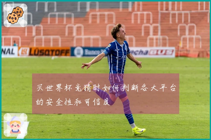 买世界杯竞猜时如何判断各大平台的安全性和可信度