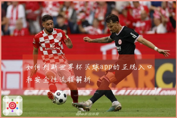 如何判断世界杯买球app的正规入口和安全性流程解析