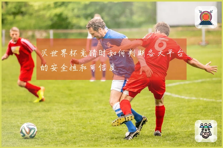 买世界杯竞猜时如何判断各大平台的安全性和可信度
