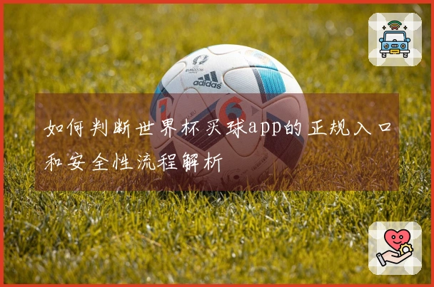 如何判断世界杯买球app的正规入口和安全性流程解析