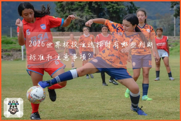 2026世界杯投注选择时有哪些判断标准和注意事项？